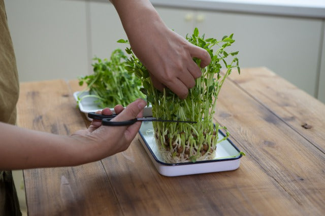 【正規品】ミニカーブキッチンバサミ